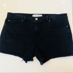 Velvet by Graham and Spencer Black Jean Shorts